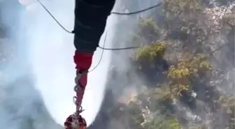 Muğla'nın Milas İlçesinde Orman Yangını
