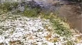 Sarıkamış'ta Dolu ve Sağanak Yağmur Sel Getirdi