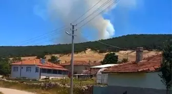 Eskişehir'de Orman Yangını: Çok Sayıda Ekip Mücadele Ediyor