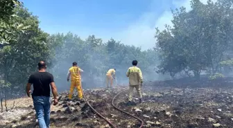 Eskişehir'de Orman Yangınına Müdahale Devam Ediyor