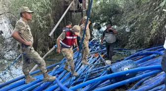 Fırat Nehri'nde Elektrik Akımına Kapılan Genç Ağır Yaralandı