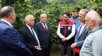 Trabzon Valisi: Fındık Üretimi Ek İş Olarak Görülmemeli