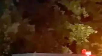 Çaycuma'da Çöp Yangını: Kontrol Altına Alındı