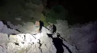 Marmaris'te Mahsur Kalan Düzensiz Göçmenler Kurtarıldı