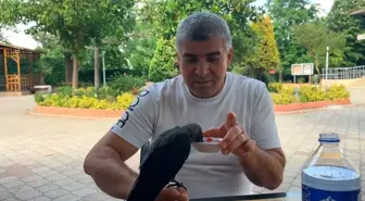 Beylikdüzü'nde Yavru Kargaya Yardım Eli