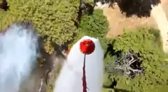 Antalya'da Orman Yangınına Hızlı Müdahale