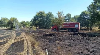 Konya'da Arpa Ekili Alanda Yangın Kontrol Altına Alındı
