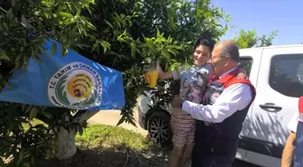 Aydın'da Narenciye Üreticilerine 12 Bin 500 Tuzak Teslim Edildi