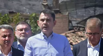 Çevre Bakanı Kurum: Yangınlardan etkilenen 8 ilde 1168 bina zarar gördü