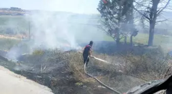 Bandırma'da Çıkan Ot ve Çöp Yangınları Söndürüldü