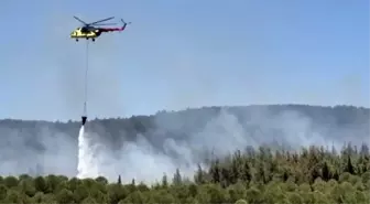 Çanakkale'de Orman Yangınına Hızlı Müdahale