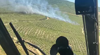 Çanakkale'de Orman Yangını: Ekipler Müdahale Ediyor