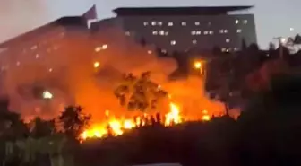 Darıca Millet Bahçesi'nde Yangın