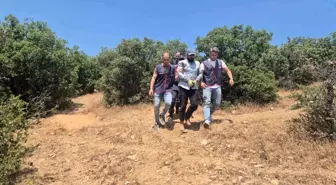 29 Yıl Hapis Cezası Olan Hükümlü, Ormanda 7 Ay Saklandı