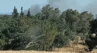 Enez'de Orman Yangını Kontrol Altına Alındı