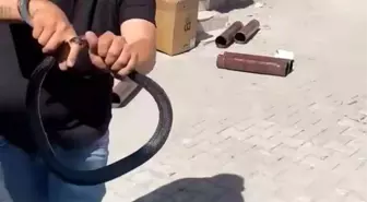 Yılancı Kemal'in Yılan Münasebeti: Evine Giren Yılandan Kurtulma Anı