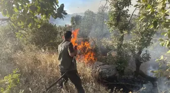 Gabar Dağı'ndaki Orman Yangını 11 Saatte Kontrol Altına Alındı