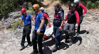 Gebze'de tabiat parkında erkek cesedi bulundu
