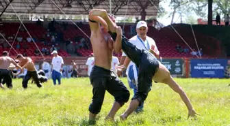 Kırkpınar Yağlı Güreşleri'nde İkinci Gün Mücadeleleri Başladı