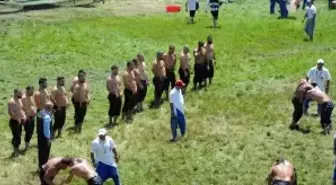 664. Tarihi Kırkpınar Yağlı Güreşleri'nde İlk Turda 16 Pehlivan Güreşti
