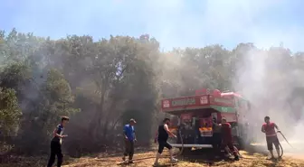 Balıkesir'de Yangın Kontrol Altına Alındı