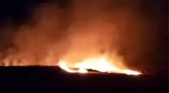 Tekirdağ'da Yangın, 20 Dönüm Buğday Tarlasını Yaktı