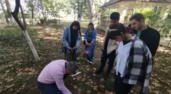 'Toprak, yangının sessiz mağduru oluyor'