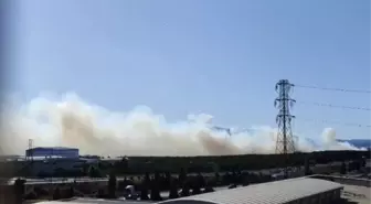 Tuzla'da Otluk Alanda Yangın Kontrol Altına Alındı