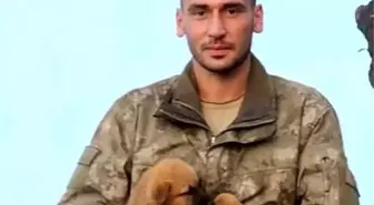 Aksaray'a şehit ateşi düştü