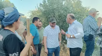 Aydın Bozdoğan'da Orman Yangını Kontrol Altına Alınmaya Çalışılıyor
