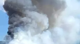 Bolu'nun Göynük İlçesinde Orman Yangını Başladı
