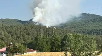 Bolu'da Orman Yangınına Hızla Müdahale Ediliyor