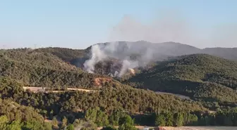 Bolu'da Orman Yangınına Hızlı Müdahale