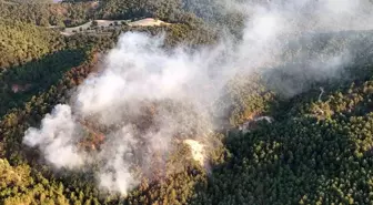 Bolu'da Orman Yangını Kontrol Altına Alındı