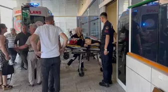 Kocaeli'de Çınar Ağacının Dalı Üzerine Düştü, 3 Yaralı