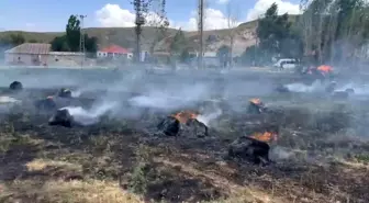 Hakkari'nin Yüksekova İlçesinde Yangın: 1500 Bağ Ot Yandı