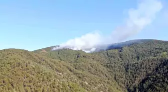 Kastamonu-Çankırı Sınırında Orman Yangını