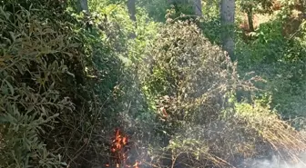 İznik'te Orman Yangını Kontrol Altına Alındı