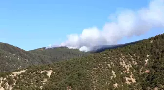 Kastamonu'da Orman Yangını: Ekipler Müdahaleye Başladı