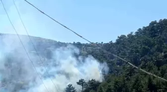 Mersin'in Mut ilçesinde orman yangını kontrol altına alındı