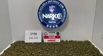 Yalova'da Motosiklet Sürücüsünde 3 Kilo 750 Gram Uyuşturucu Ele Geçirildi
