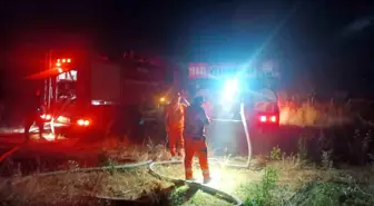 Bursa'da Yangın: Ceviz Bahçesi ve Ormanlık Alan Zarar Gördü