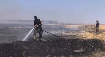 Silivri'de Yangın Büyümeden Söndürüldü