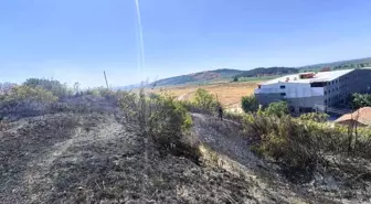 Susurluk'ta Çalılık Alanında Yangın Çıktı