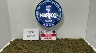 Yalova'da Uyuşturucu Operasyonu: 3 Kilo 750 Gram Skunk Ele Geçirildi