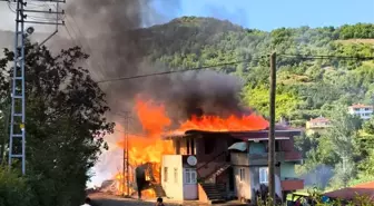 Kastamonu'da Çıkan Yangında Bir Ev Yandı, Eşek Telef Oldu