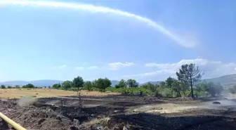 Beypazarı'nda 40 Dönümlük Buğday Tarlası Yangında Zarar Gördü