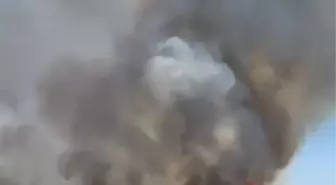 Beypazarı'nda Buğday Tarlasındaki Yangın 40 Dönüm Alanı Kül Etti