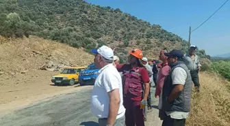 Aydın'da Zeytinlik ve Makilik Alanda Yangın Çıktı