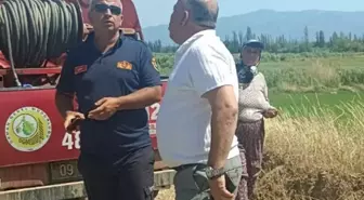 Bozdoğan'da Zeytinlikte Yangın: 2 Hektar Alan Zarar Gördü